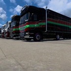 4-Jahres-Konvoi der Black Viper Logistics