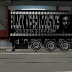 BVL ETS2 Container Skins