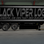 BVL ETS2 Container Skins