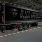 BVL ScS Kögel Trailer Skins Zukunft