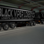 BVL ETS2 Container Skins