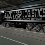 BVL ETS2 Container Skins